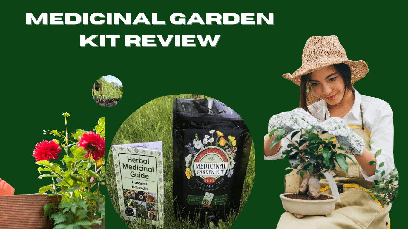 MEDICINAL- GARDEN- KIT-REVIEW-FEATURE-IMAGE